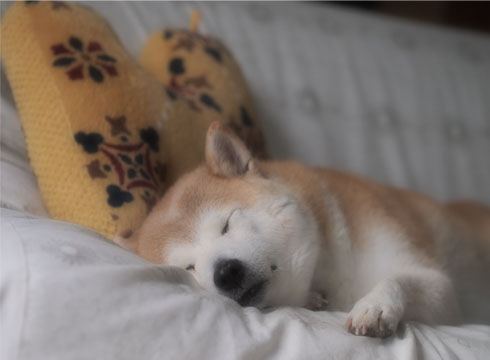 28日ブログ7.jpg