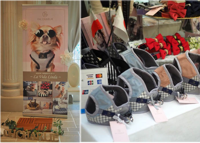 26日午後ブログ5