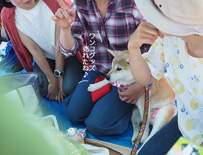 20日ブログ１０