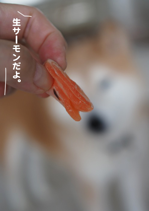 6日夜ブログ２