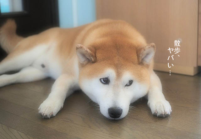 2日ブログ6