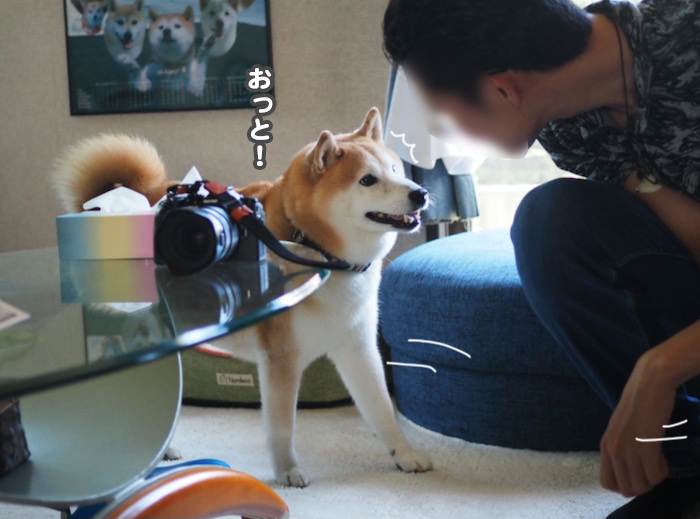 22日ブログ８