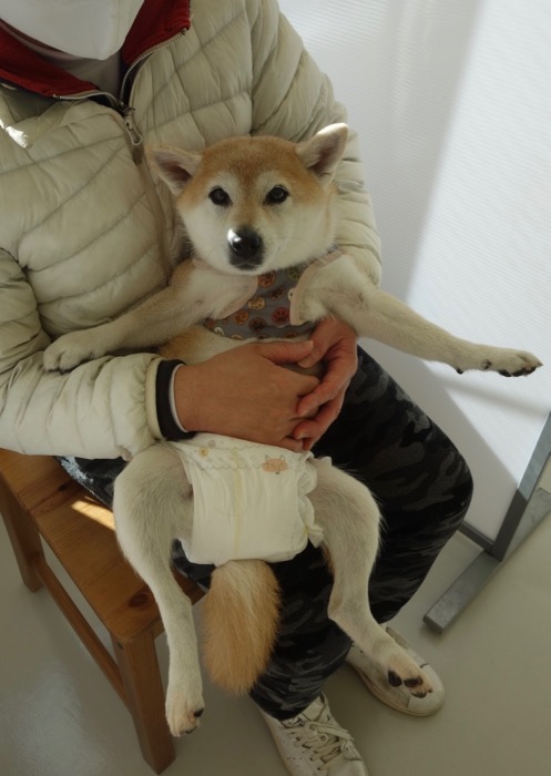 18日ブログ２