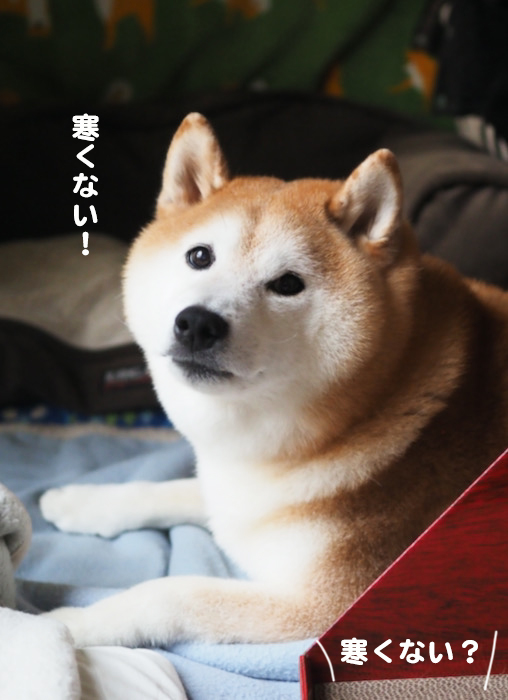4日夕ブログ２