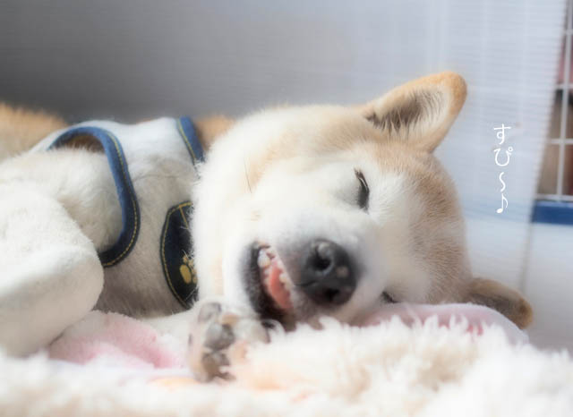 20日ブログ5
