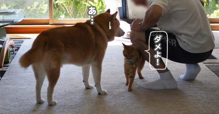 19日ブログ３