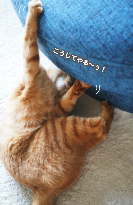 16日夕ブログ４