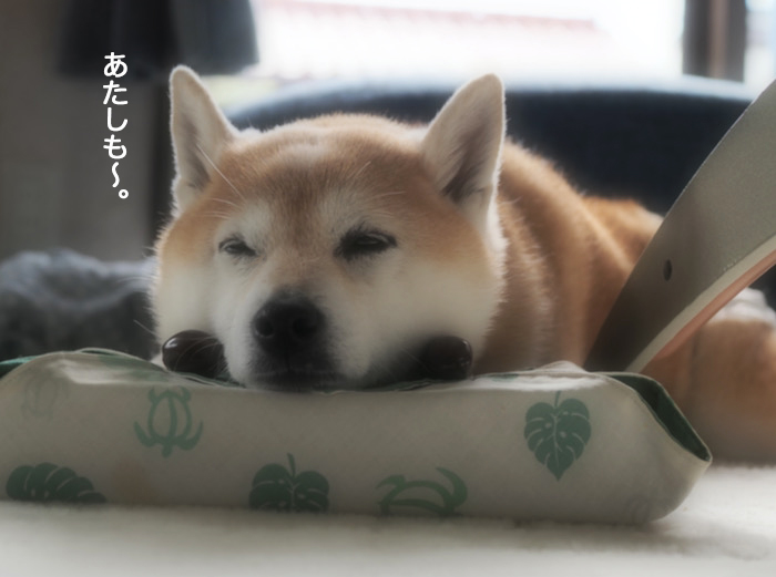 17日ブログ６