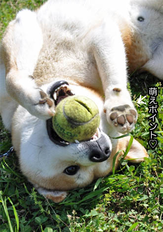 28日ブログ7.jpg