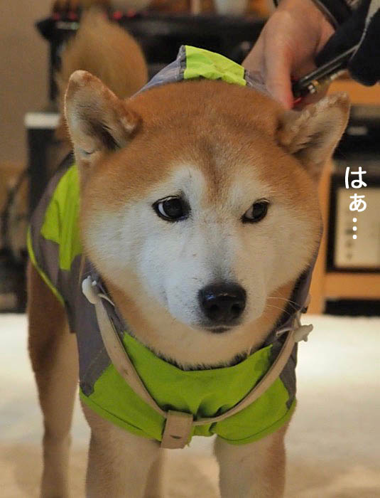 27日夜ブログ２