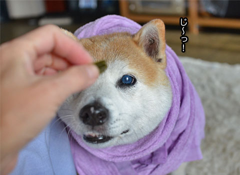 3日ブログ7.jpg