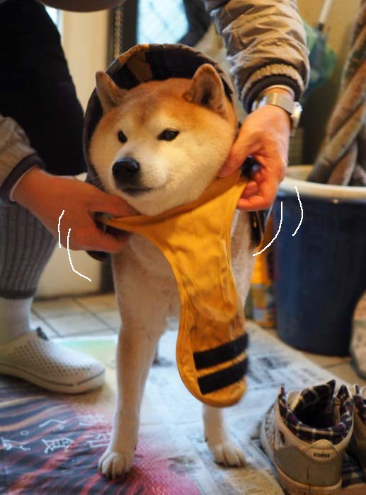 9日ブログ６
