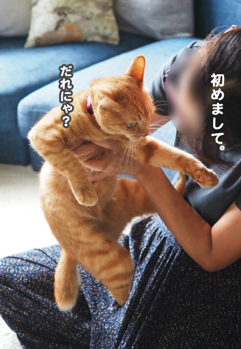 3日夕ブログ５