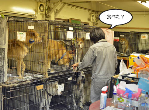 24日ブログ8.jpg