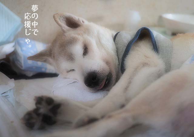 28日ブログ3