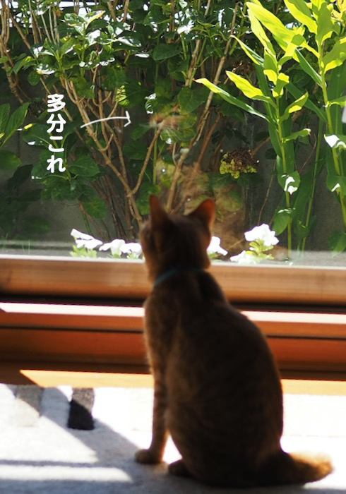 10日ブログ2