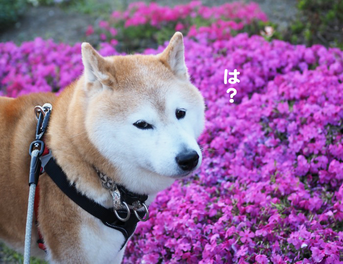 17日ブログ３jpg