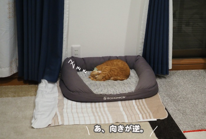 12日夕ブログ１８