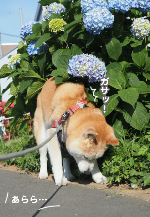 27日夕ブログ３