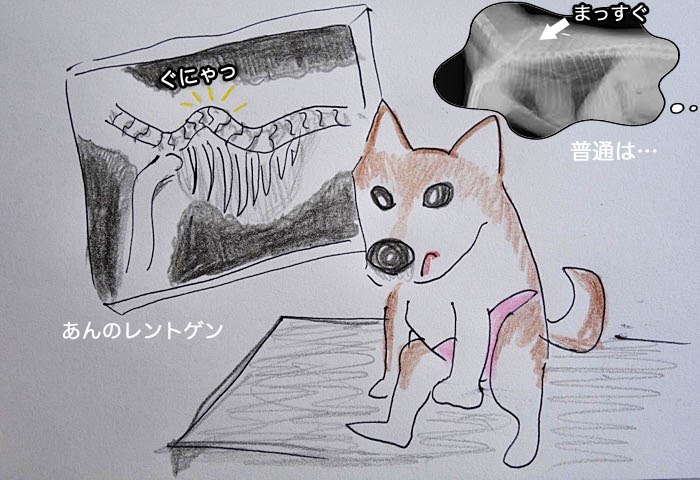 27日ブログ３