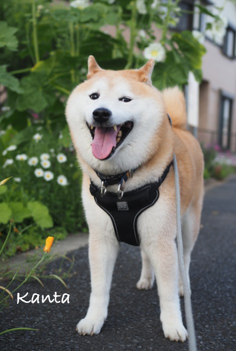 19日ブログ２