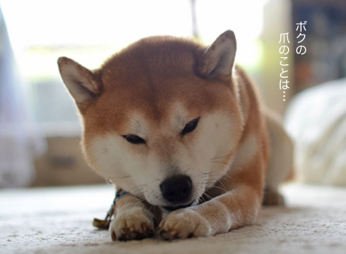 8日ブログ11.jpg
