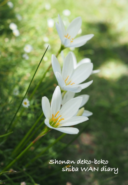 15日ブログ１