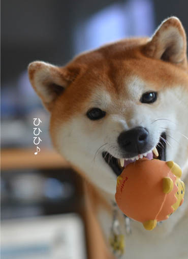 6日ブログ4.jpg
