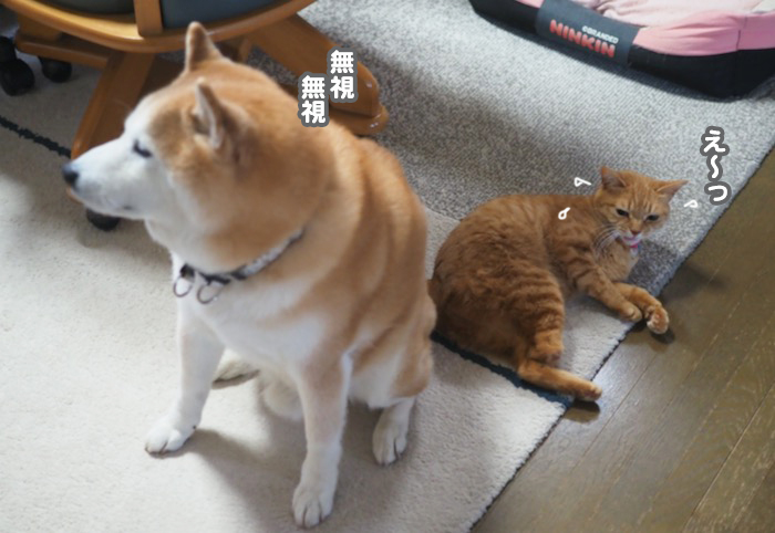 21日夕ブログ５