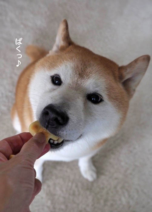 24日ブログ３