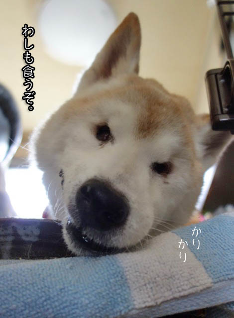 9日ブログ6