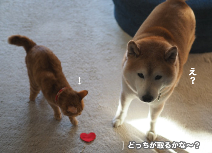 14日夕ブログ２