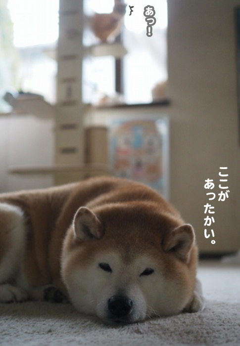 5日ブログ１