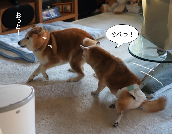 16日夜ブログ６