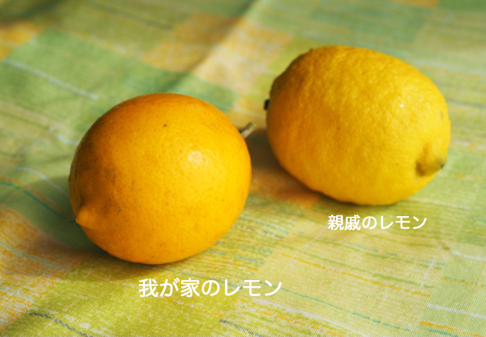 22日夜ブログ４