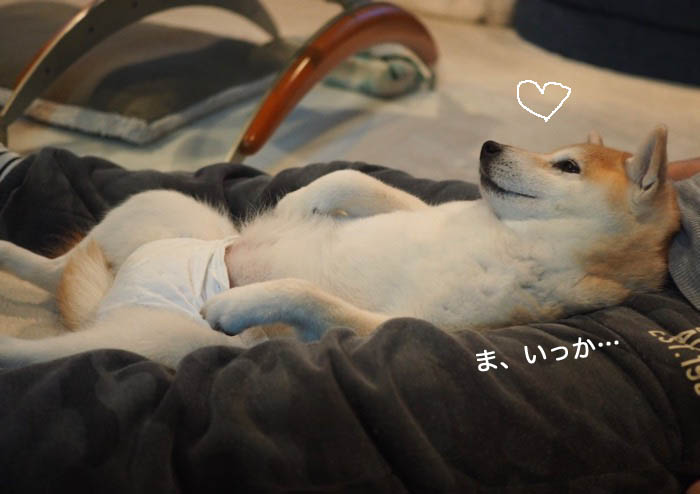 31日夜ブログ１１