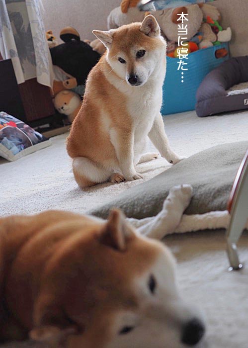 12日ブログ３
