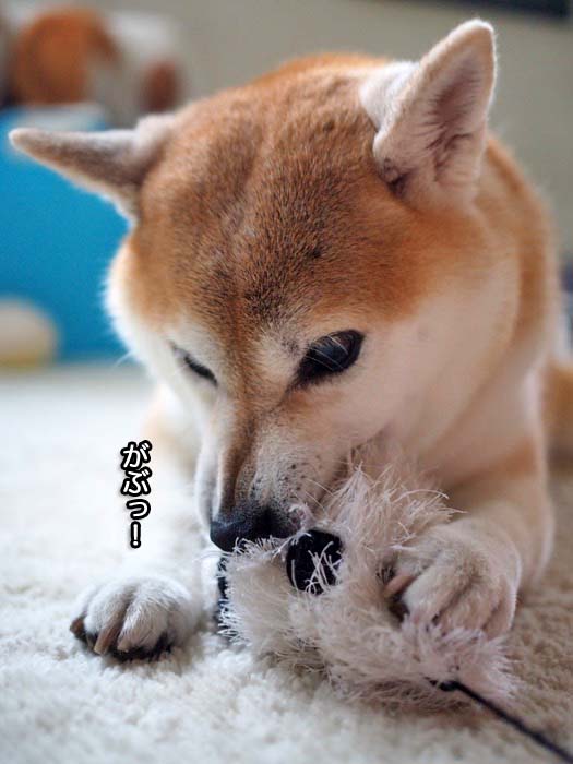 29日午後ブログ３