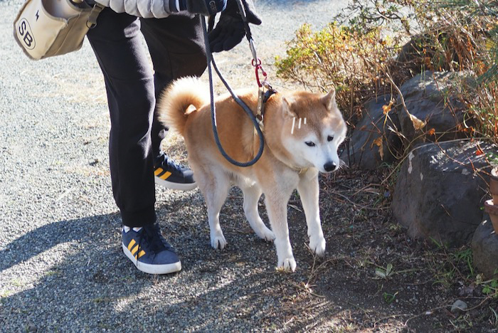 10日夕ブログ４