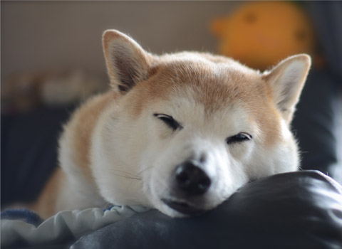 11日ブログ2.jpg