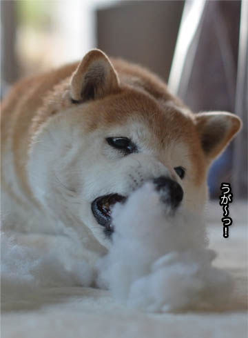 24日ブログ7.jpg