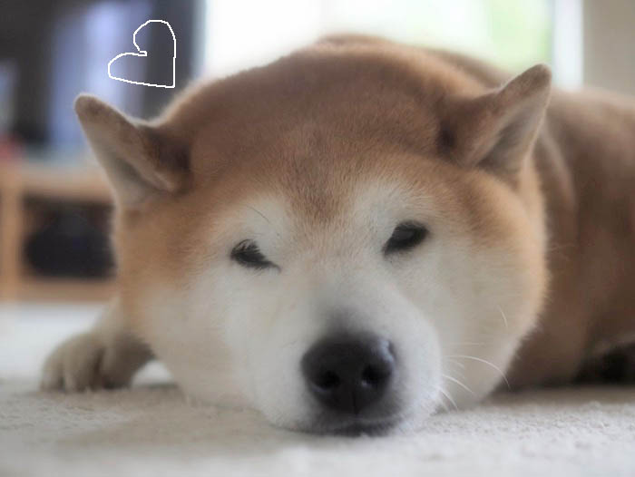 28日夜ブログ３