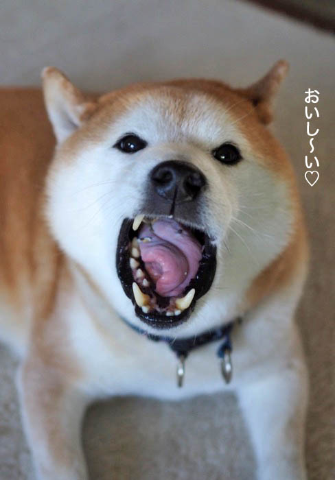 4日ブログ４