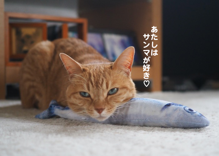 16日夕ブログ５