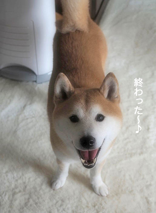 27日ブログ6