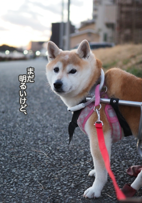 19日の夜ブログ１