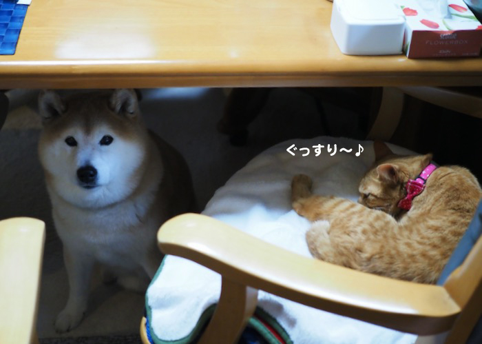 16日夕ブログ４
