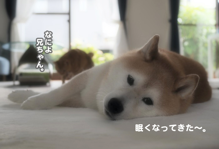 25日夕ブログ９