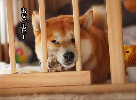6日ブログ7.jpg