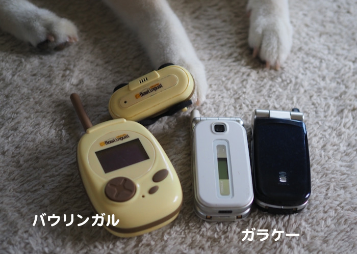 17日夕ブログ６